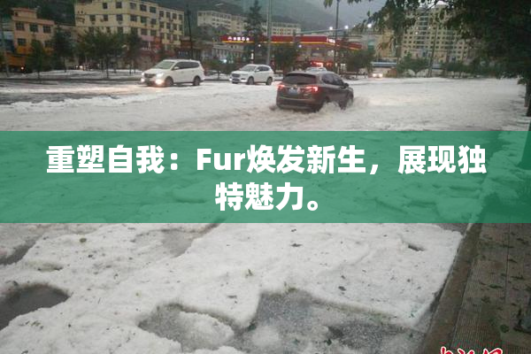 重塑自我：Fur焕发新生，展现独特魅力。