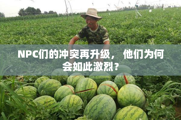 NPC们的冲突再升级， 他们为何会如此激烈？