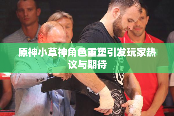 原神小草神角色重塑引发玩家热议与期待
