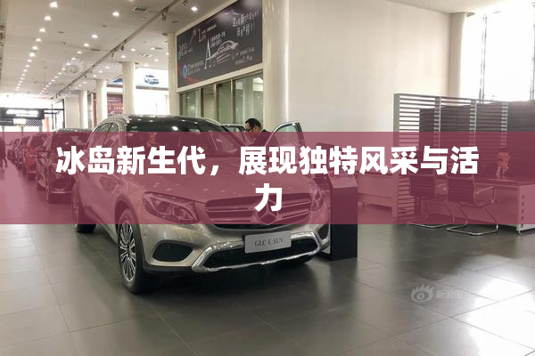 冰岛新生代，展现独特风采与活力
