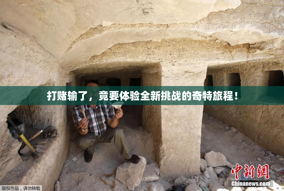 打赌输了，竟要体验全新挑战的奇特旅程！