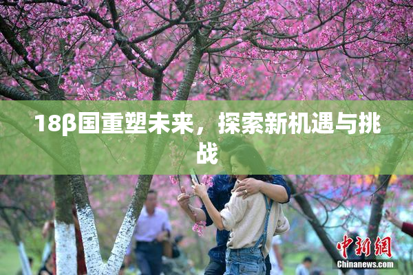 18β国重塑未来，探索新机遇与挑战