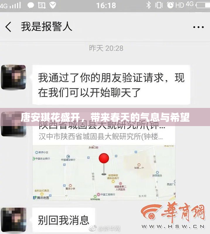 唐安琪花盛开，带来春天的气息与希望