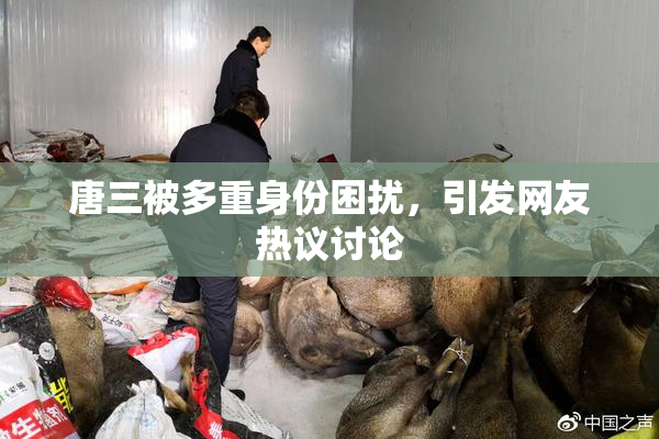 唐三被多重身份困扰，引发网友热议讨论