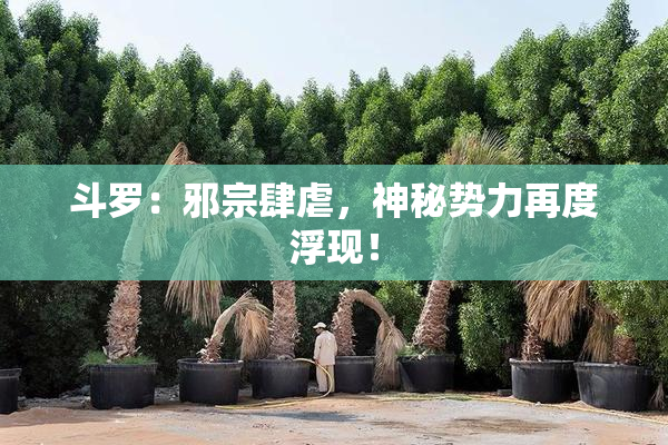 斗罗：邪宗肆虐，神秘势力再度浮现！