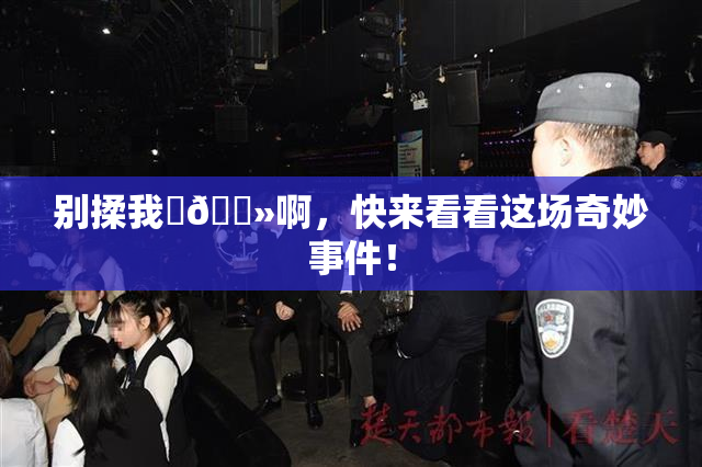 别揉我‌🐻啊，快来看看这场奇妙事件！