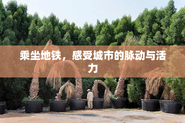 乘坐地铁，感受城市的脉动与活力