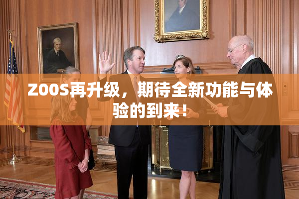 Z00S再升级，期待全新功能与体验的到来！