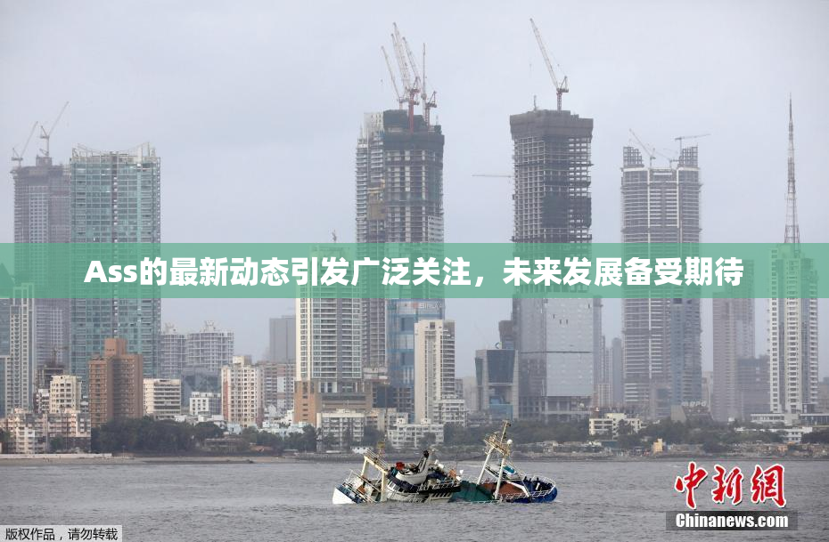 Ass的最新动态引发广泛关注，未来发展备受期待