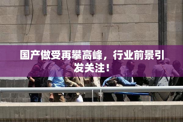 国产做受再攀高峰，行业前景引发关注！