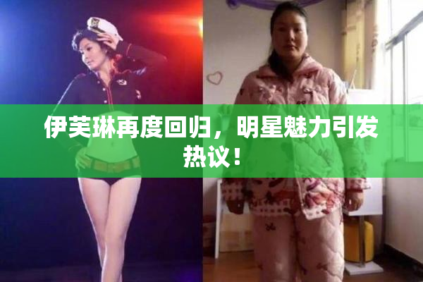伊芙琳再度回归，明星魅力引发热议！