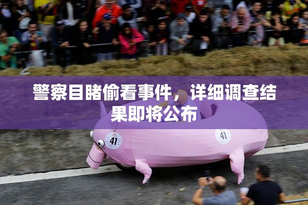 警察目睹偷看事件，详细调查结果即将公布