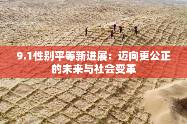 9.1性别平等新进展：迈向更公正的未来与社会变革