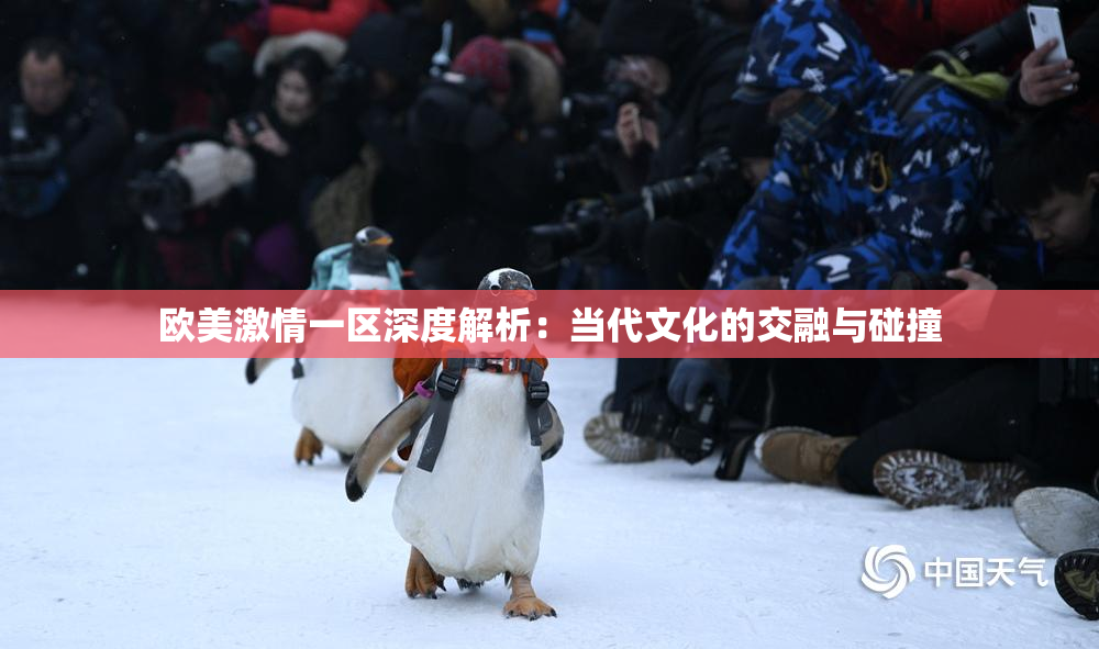 欧美激情一区深度解析：当代文化的交融与碰撞