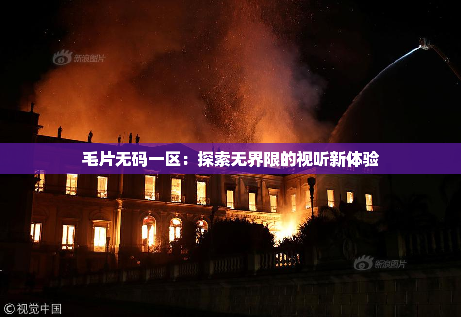 毛片无码一区：探索无界限的视听新体验
