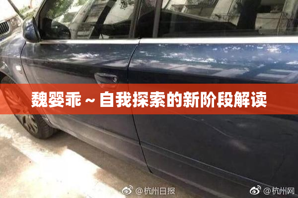 魏婴乖～自我探索的新阶段解读