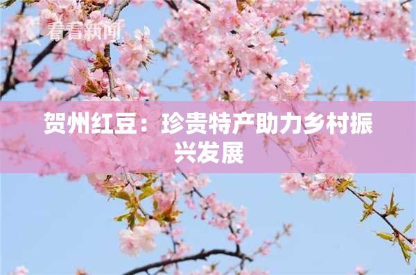 贺州红豆：珍贵特产助力乡村振兴发展