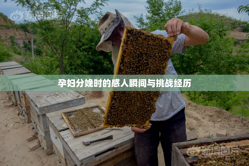 孕妇分娩时的感人瞬间与挑战经历