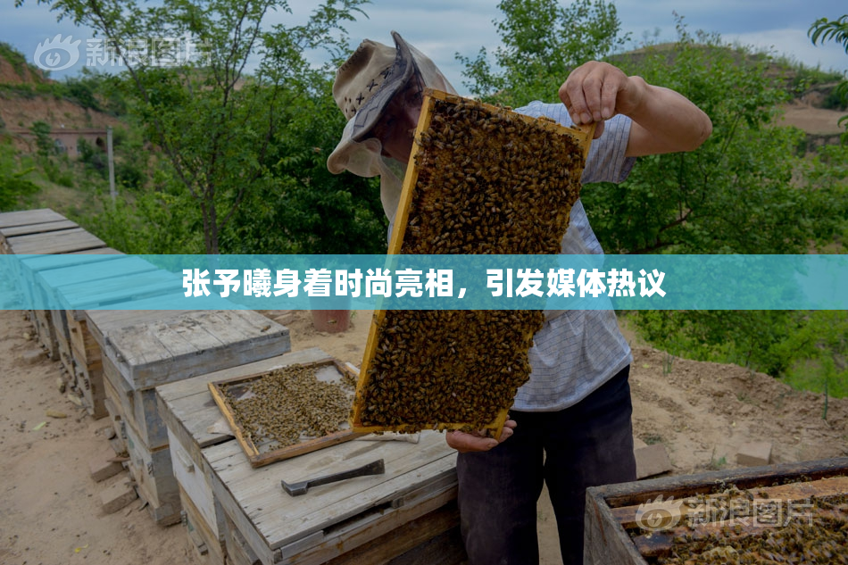 张予曦身着时尚亮相，引发媒体热议