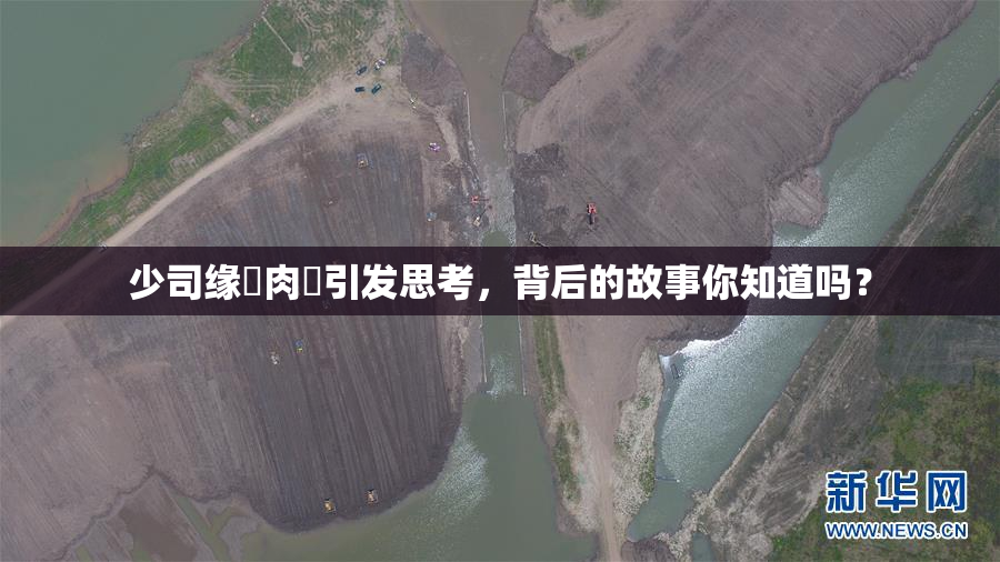 少司缘婬肉泬引发思考，背后的故事你知道吗？