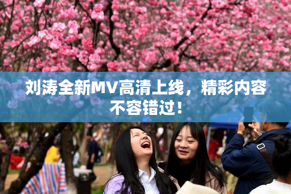 刘涛全新MV高清上线，精彩内容不容错过！