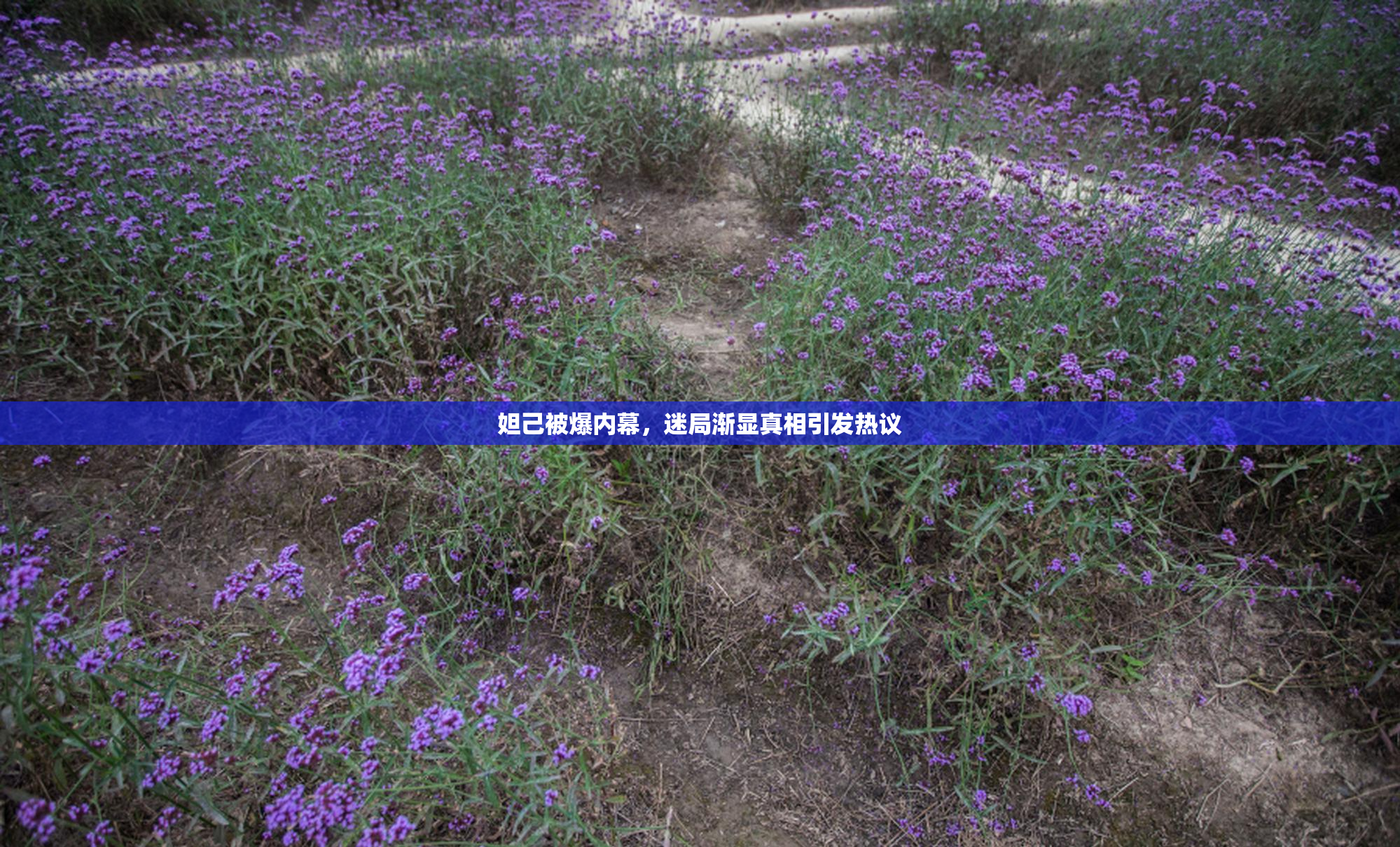 妲己被爆内幕，迷局渐显真相引发热议