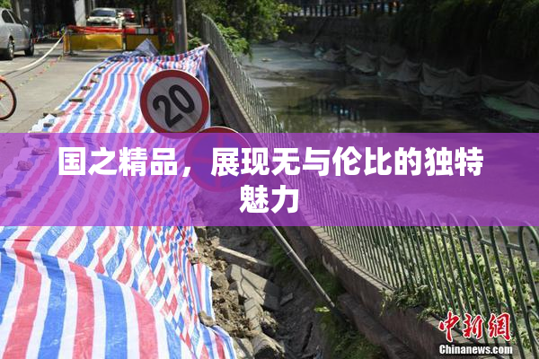 国之精品，展现无与伦比的独特魅力