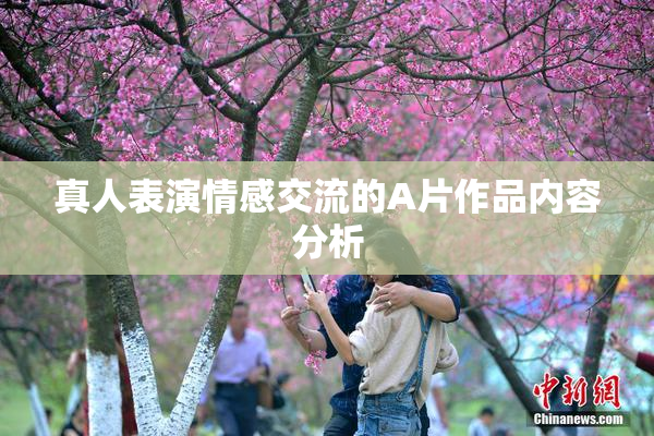 真人表演情感交流的A片作品内容分析