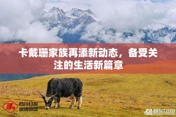 卡戴珊家族再添新动态，备受关注的生活新篇章