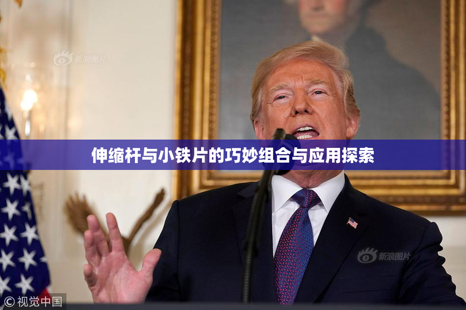 伸缩杆与小铁片的巧妙组合与应用探索
