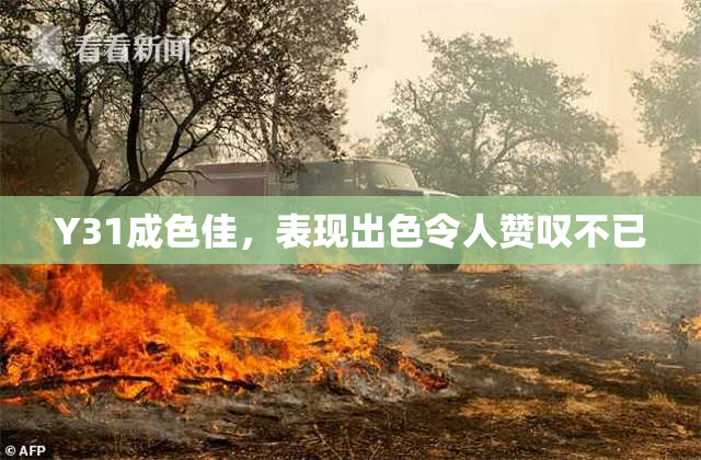 Y31成色佳，表现出色令人赞叹不已