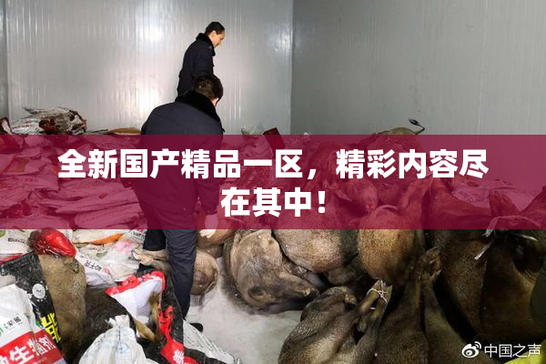 全新国产精品一区，精彩内容尽在其中！