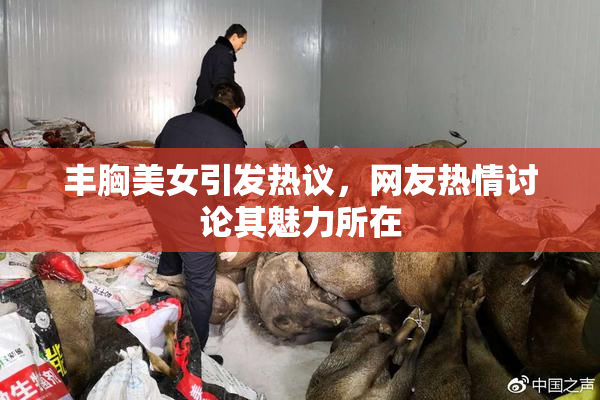 丰胸美女引发热议，网友热情讨论其魅力所在