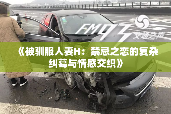 《被驯服人妻H：禁忌之恋的复杂纠葛与情感交织》
