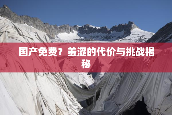 国产免费？羞涩的代价与挑战揭秘