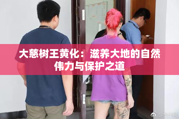 大慈树王黄化：滋养大地的自然伟力与保护之道