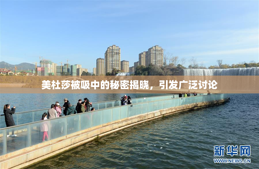 美杜莎被吸中的秘密揭晓，引发广泛讨论