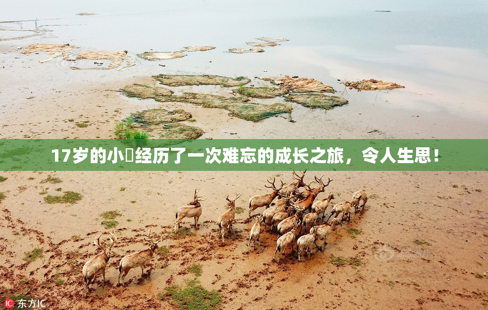 17岁的小泬经历了一次难忘的成长之旅，令人生思！