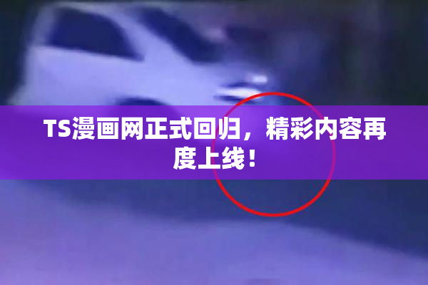TS漫画网正式回归，精彩内容再度上线！