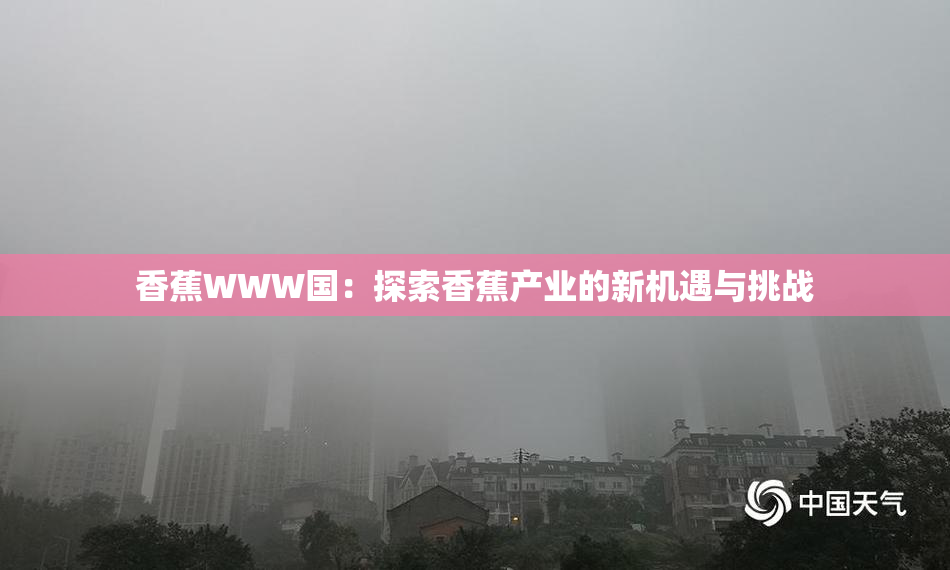 香蕉WWW国：探索香蕉产业的新机遇与挑战