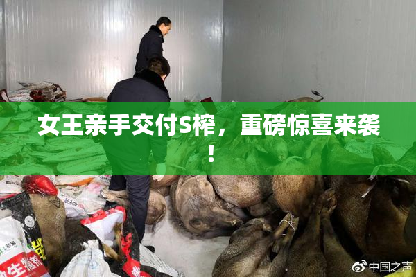 女王亲手交付S榨，重磅惊喜来袭！