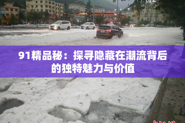91精品秘：探寻隐藏在潮流背后的独特魅力与价值