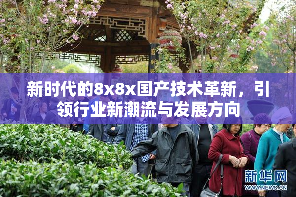 新时代的8x8x国产技术革新，引领行业新潮流与发展方向