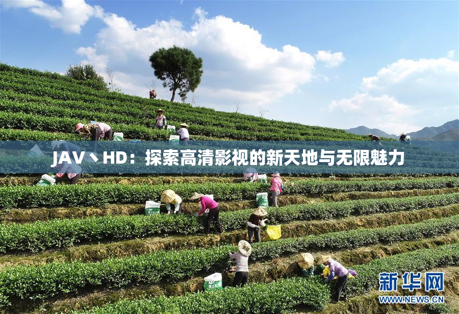 JAV丶HD：探索高清影视的新天地与无限魅力