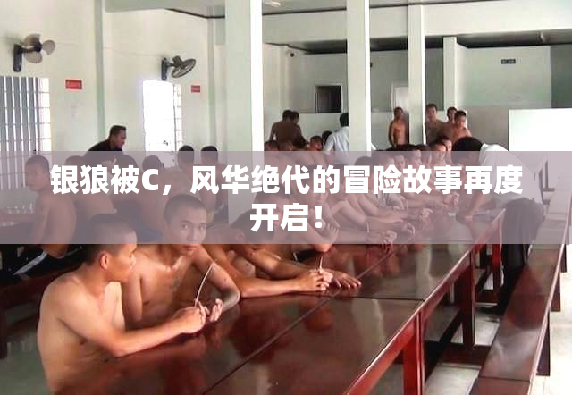 银狼被C，风华绝代的冒险故事再度开启！