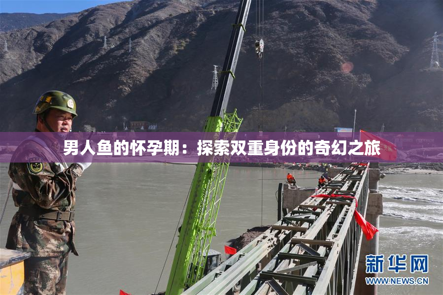 男人鱼的怀孕期：探索双重身份的奇幻之旅