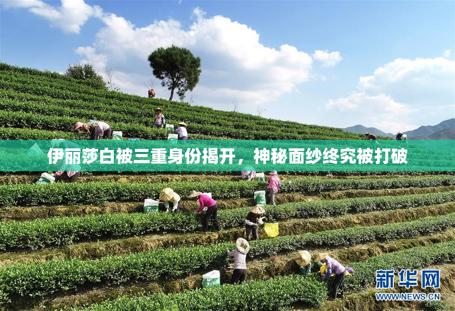伊丽莎白被三重身份揭开，神秘面纱终究被打破