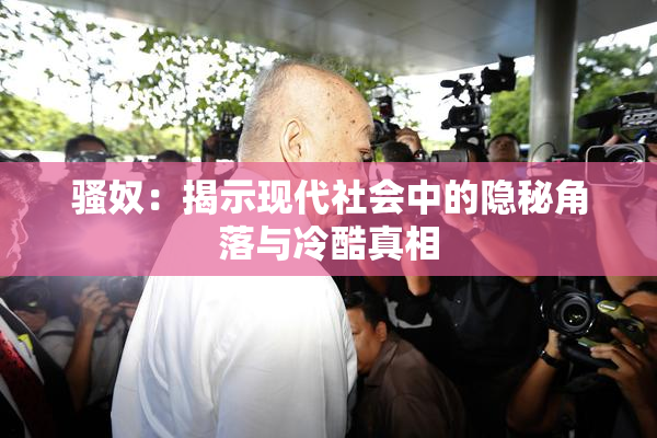 骚奴：揭示现代社会中的隐秘角落与冷酷真相