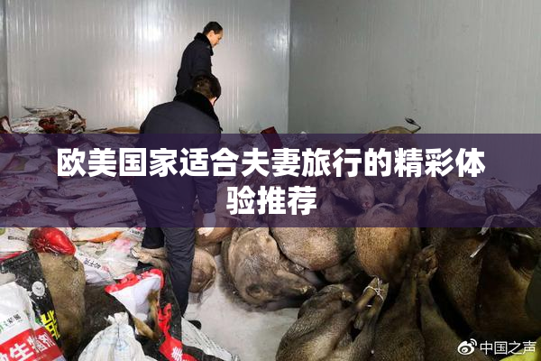 欧美国家适合夫妻旅行的精彩体验推荐