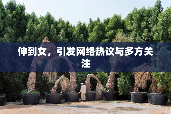 伸到女，引发网络热议与多方关注